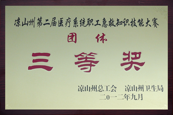 团体三等奖20129.jpg