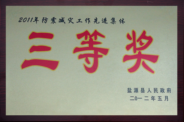 三等奖20125.jpg