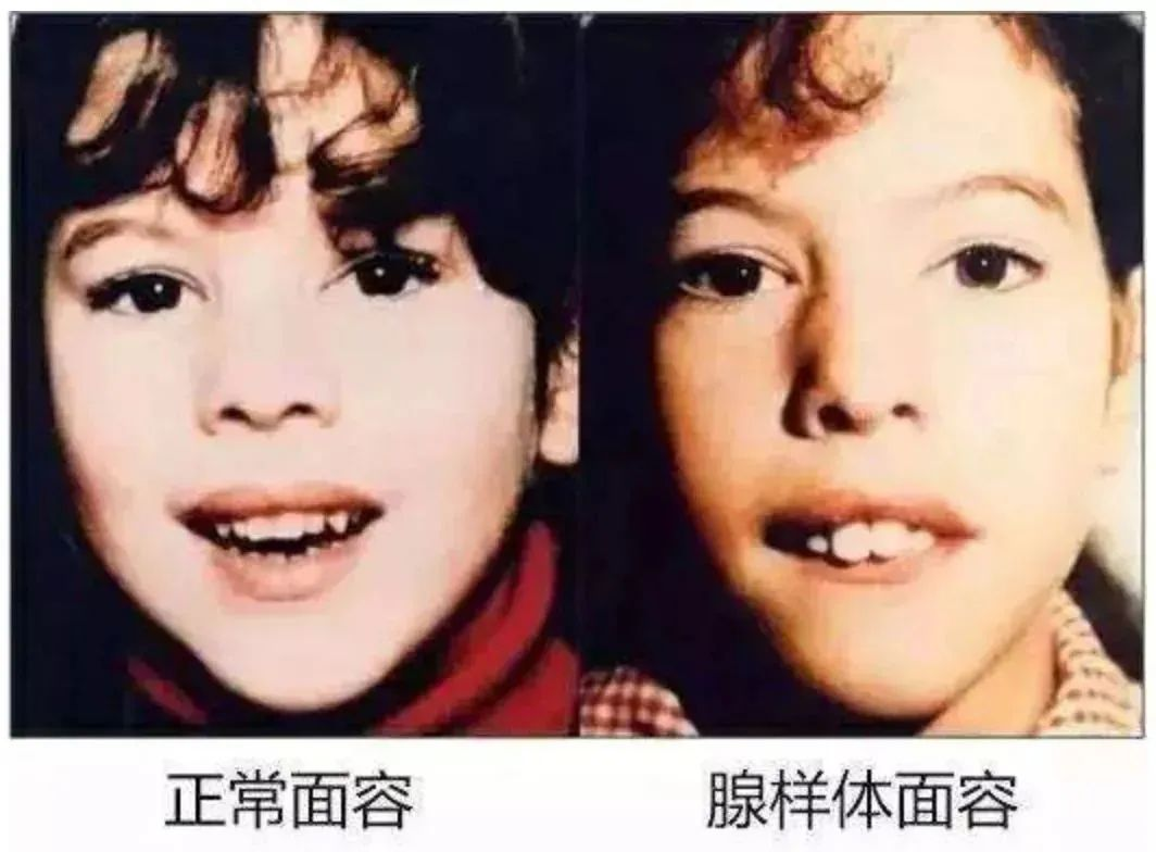 1691313861674.jpg
